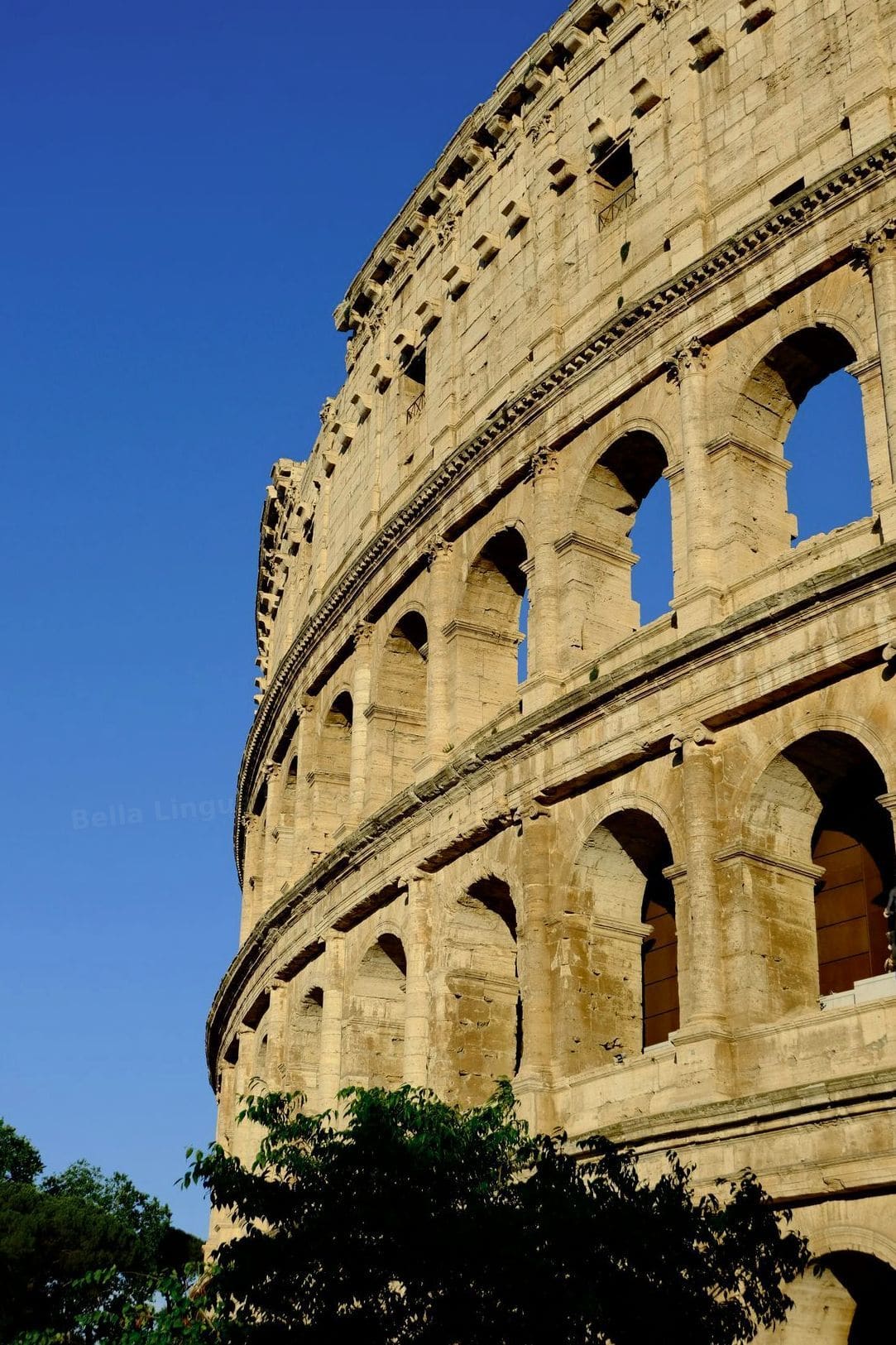 Business Italian for professionals and teams
